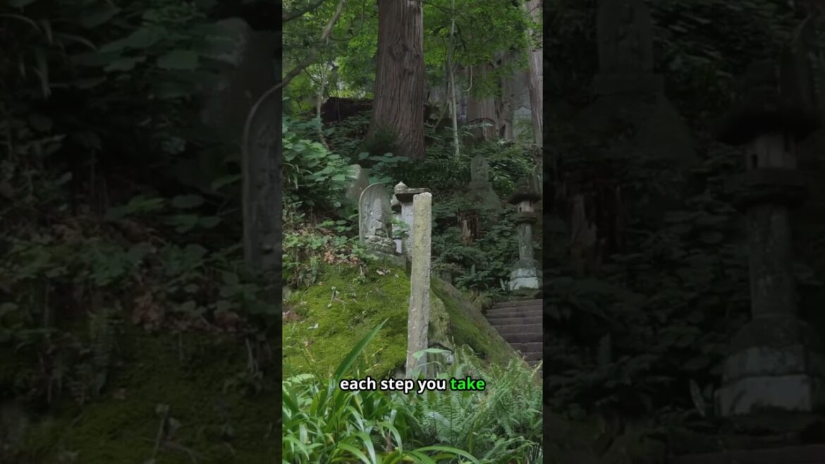 The Secret of Kyoto's Zen Gardens