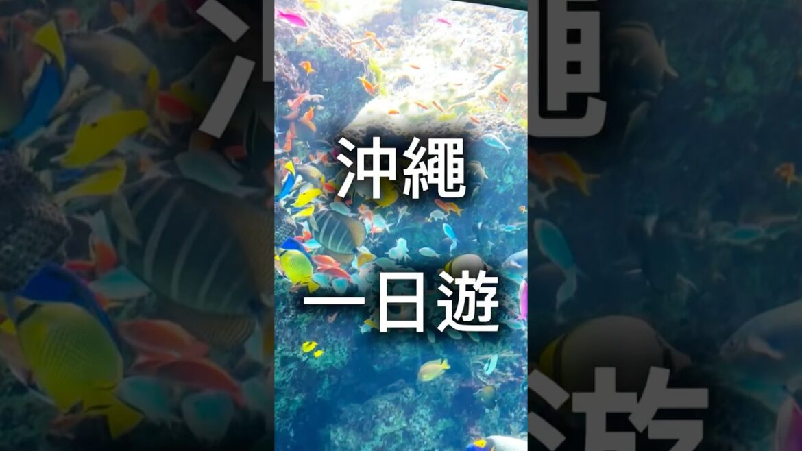 沖繩人氣景點一日遊：美國村・國際通・美麗海水族館