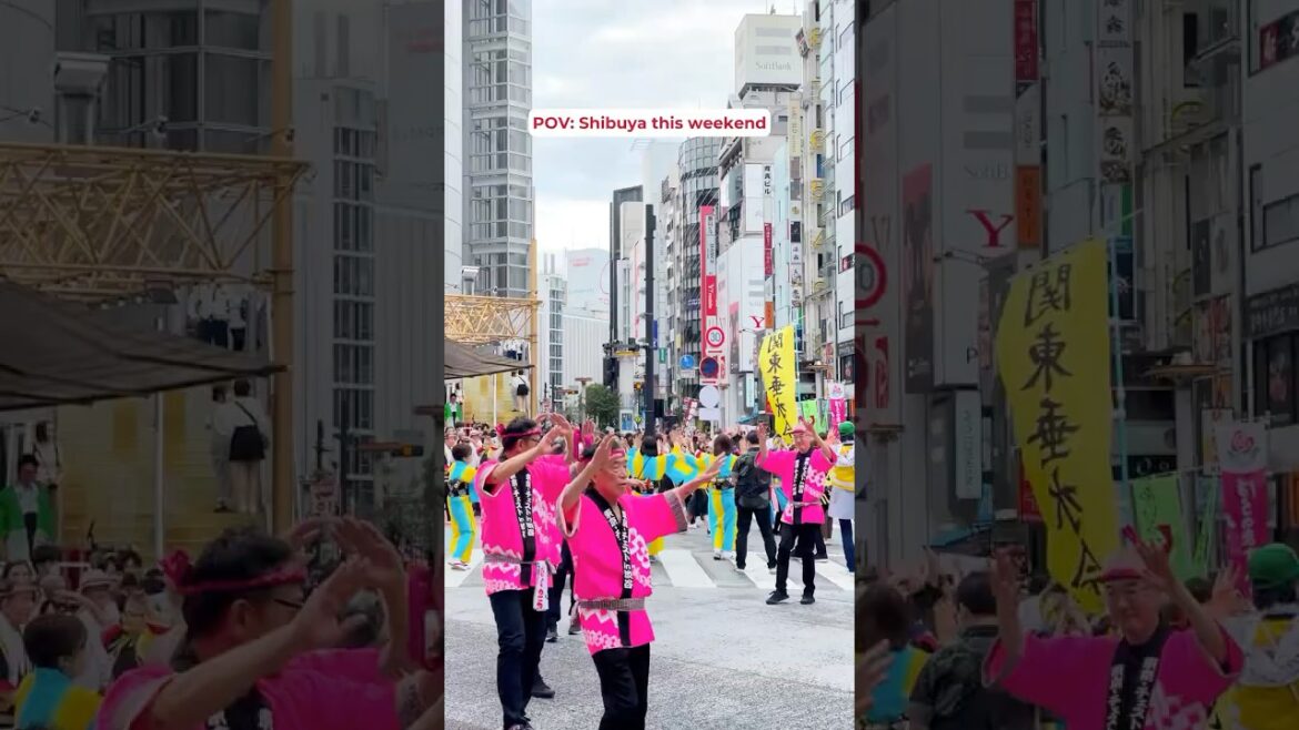 This weekend: Kagoshima Ohara Festival 2025 🇯🇵🎊