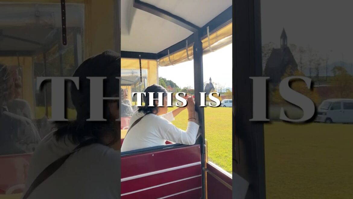 Not Enough People Talk About This Place in Gifu Not Enough People Talk About This Place in Gifu