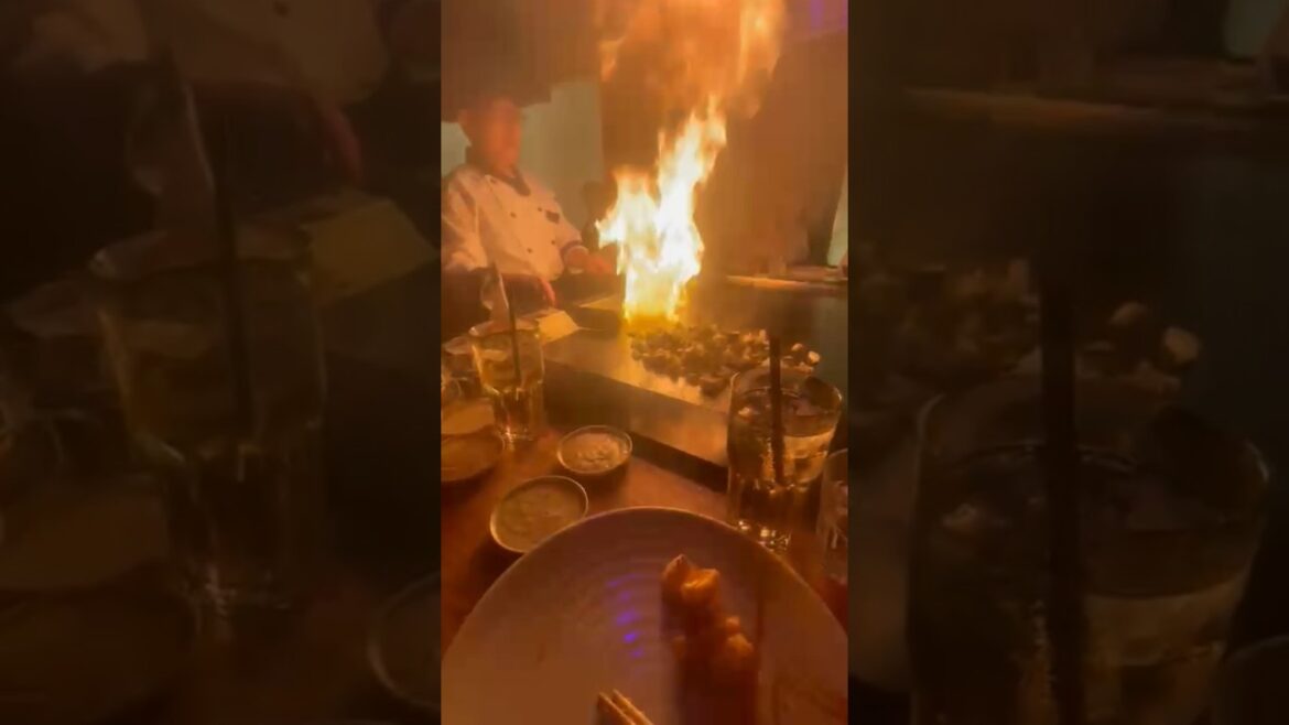 How Kobe Japanese Steakhouse Does Birthdays #teppanyaki #hibachi #Kobe