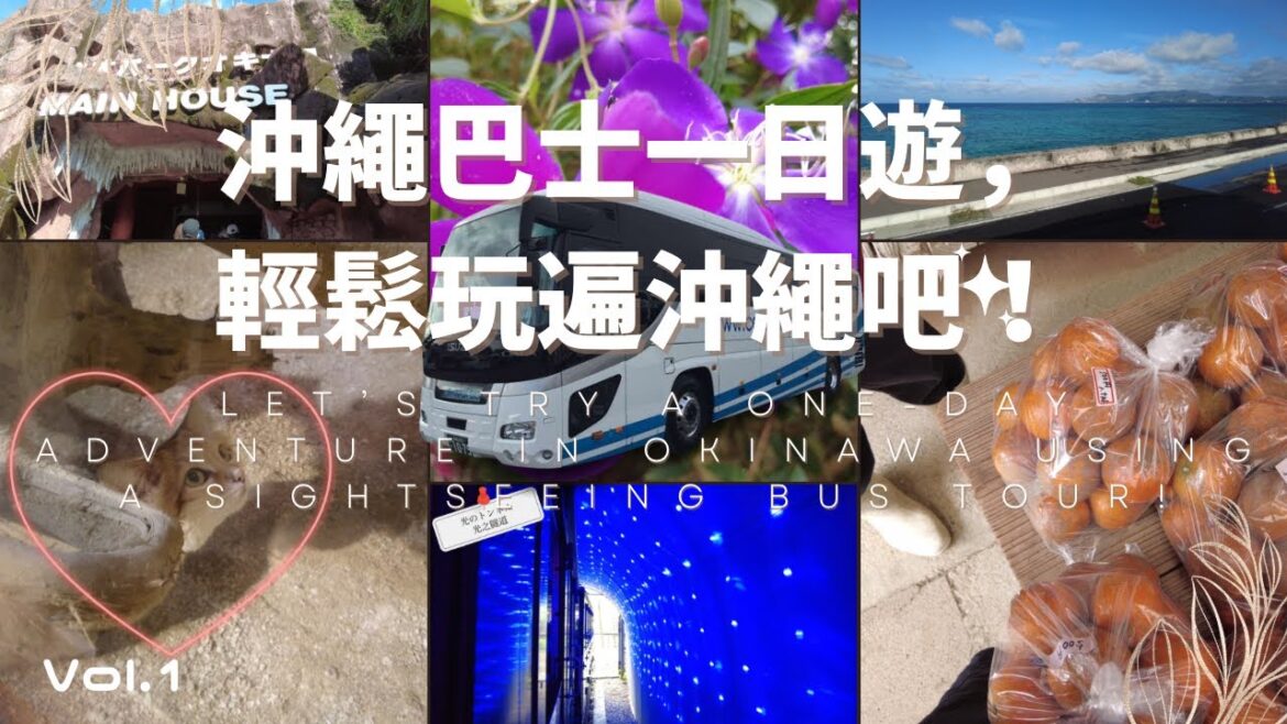 バスツアーで春の沖縄を満喫して来た!【沖縄観光】 バスツアーで春の沖縄を満喫して来た!【沖縄観光】