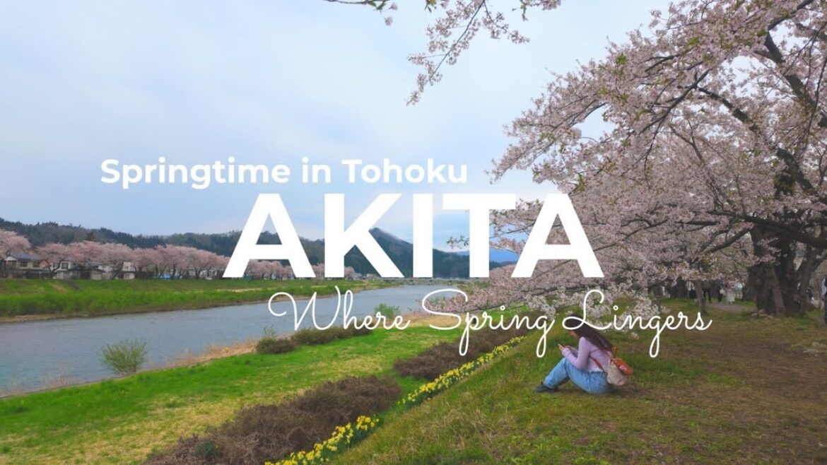 【東北旅行】秋田＆岩手観光では外せない！｜春の東北で桜・温泉・グルメを堪能する旅 | 角館＆乳頭温泉郷 巡り♨️| Japan Travel | Japan Vlog |