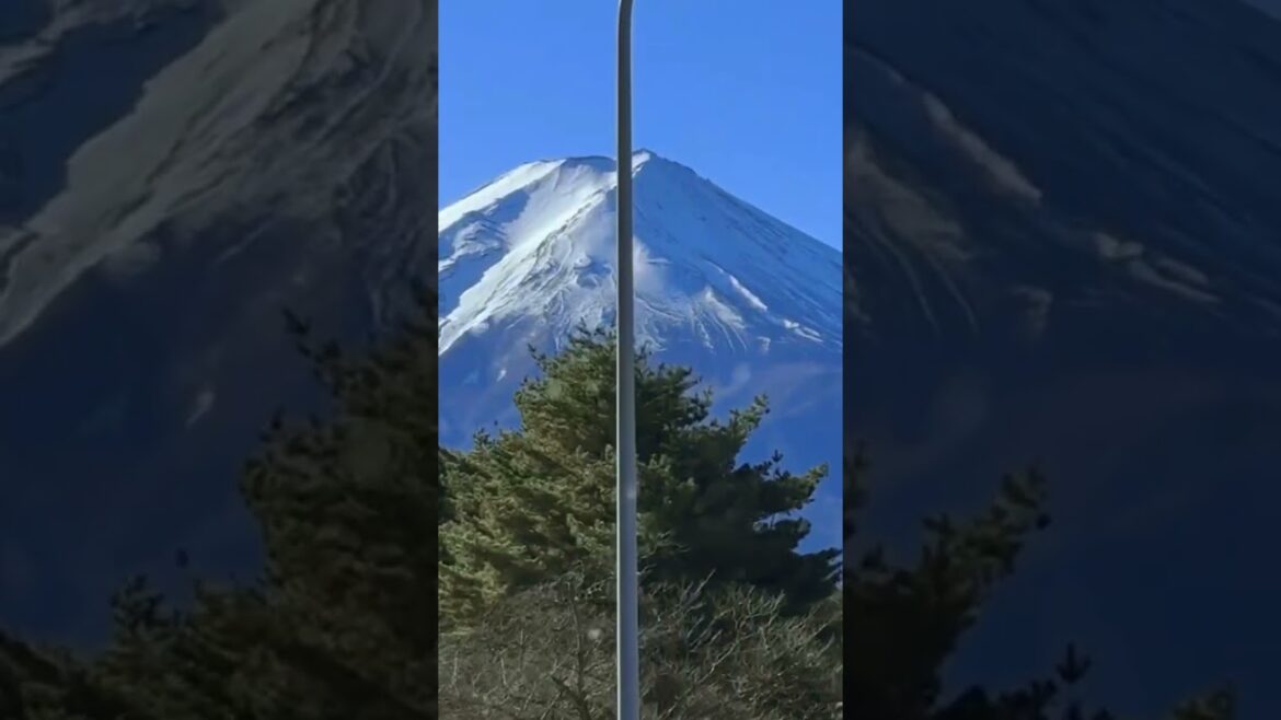Mt Fuji Tour Japan