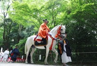 The procession parades through a forest at Shimogamo Jinja shrine in Kyoto's Sakyo Ward on May 15, 2025, as part of the Aoi Matsuri festival. (Mainichi/Ririko Maeda)