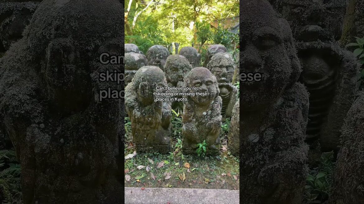 I can’t believe people don’t know or skip this area in Kyoto :  Saga toriimoto preserved street 🍀