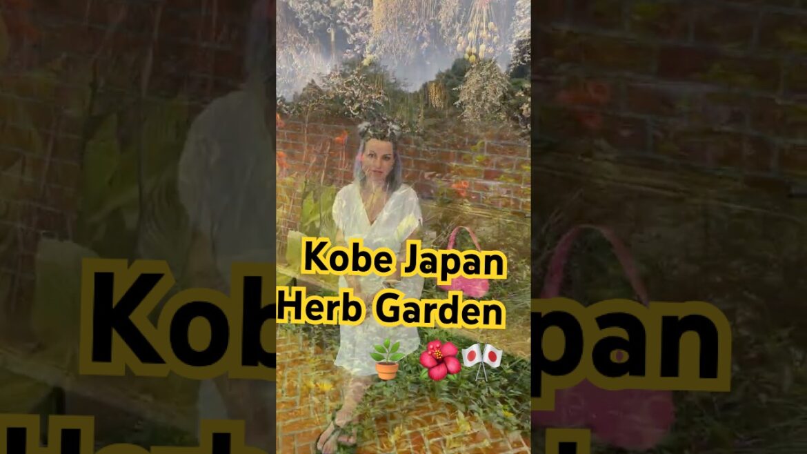 Kobe Japan Mystical Herb Garden🌿🇯🇵#shorts #japan #travel #kobe #garden #waterfall #poetry #sunset Kobe Japan Mystical Herb Garden🌿🇯🇵#shorts #japan #travel #kobe #garden #waterfall #poetry #sunset