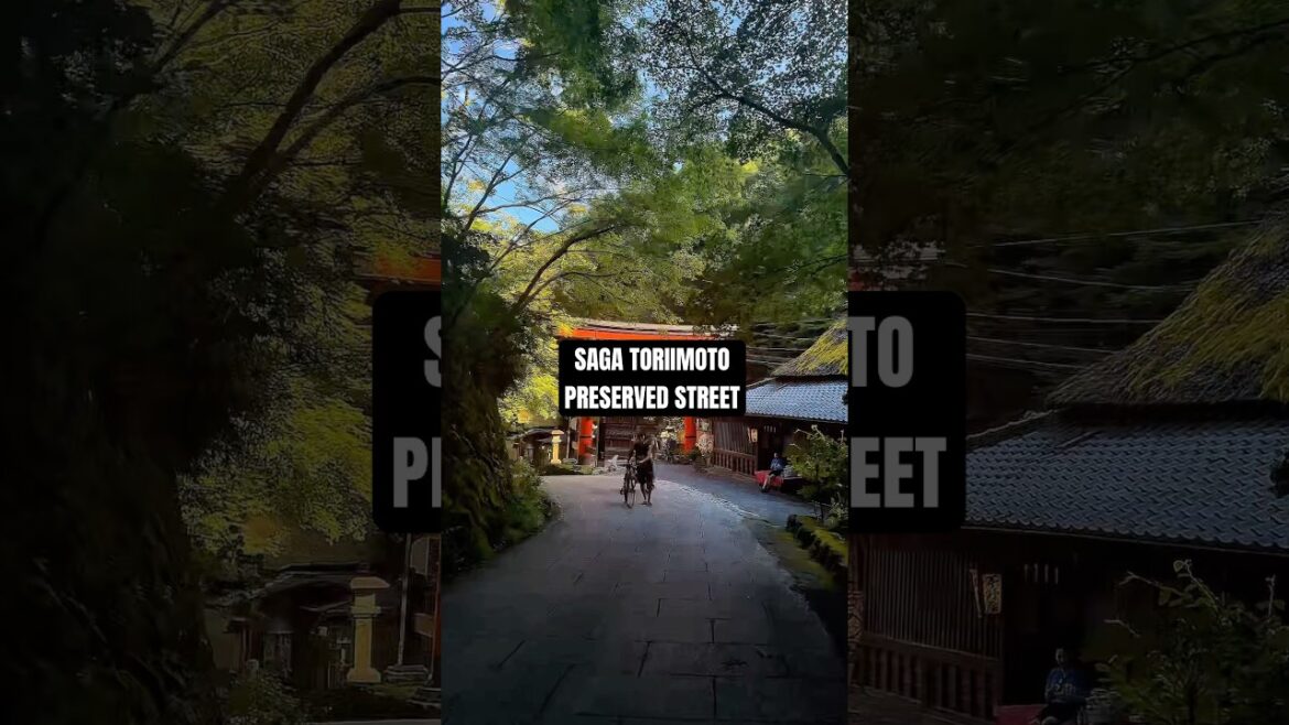 And it’s one of my favorite place in Kyoto! Subscribe for more content about Japan! #japanitinerary And it’s one of my favorite place in Kyoto! Subscribe for more content about Japan! #japanitinerary