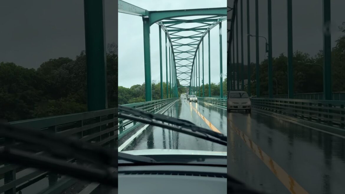 Beautiful Weather and Long Drive in Chiba Area. #japan #tokyo #chiba #travel #rain