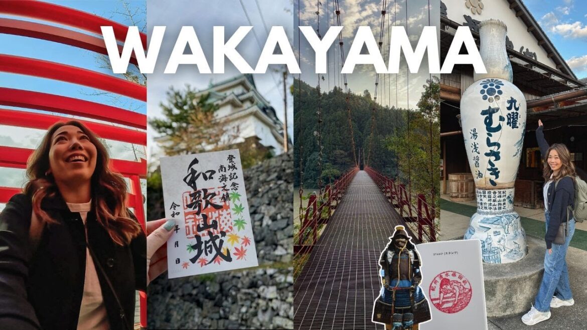 Wakayama, Japan: Places to Visit + My Journey Back to Where My Family Is From 🇯🇵 🤍