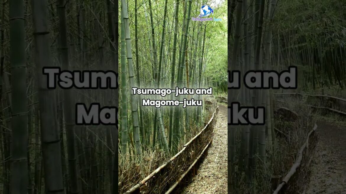 ✈️ A Journey into Japan’s Untouched Beauty