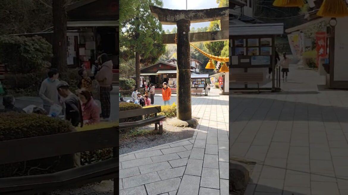 Aso, Japan 🇯🇵 #japan #kyushu #japanese #aso #kumamoto #volcano #mountain