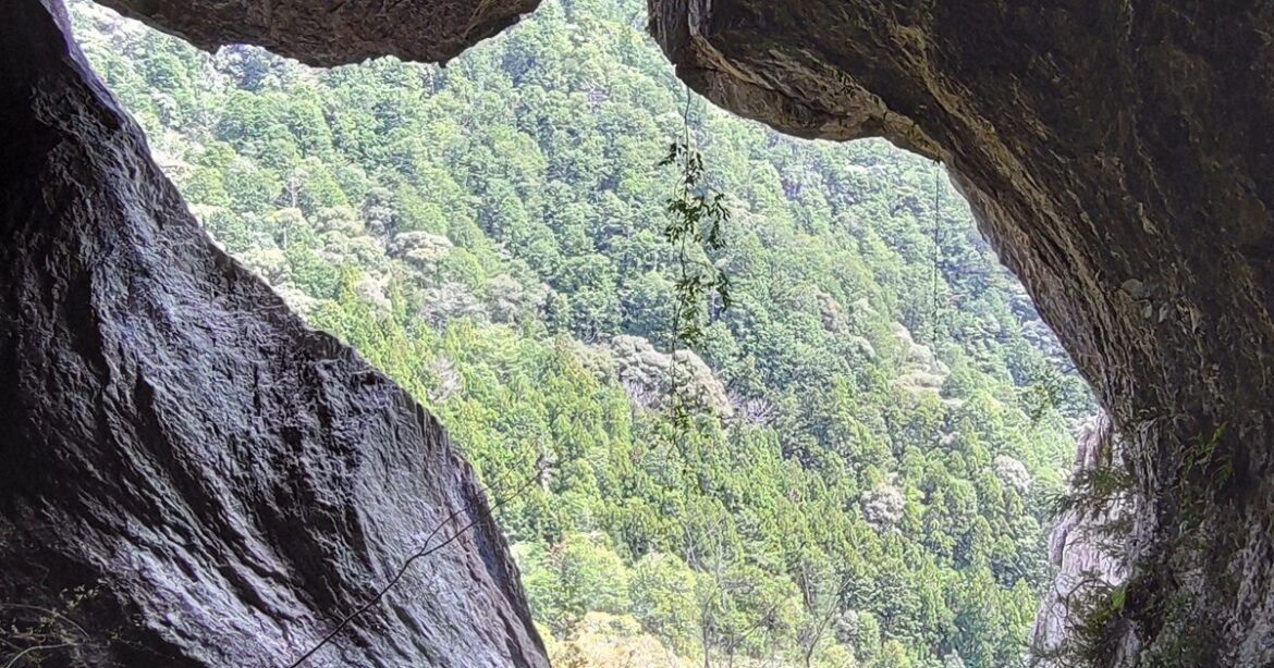 Cave mouth in Japan’s Aichi Prefecture resembles giant cat, reminiscent of Ghibli films Cave mouth in Japan's Aichi Prefecture resembles giant cat, reminiscent of Ghibli films