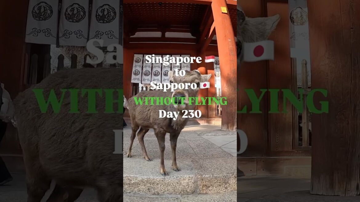 Singapore to Sapporo WITHOUT Flying: Day 230