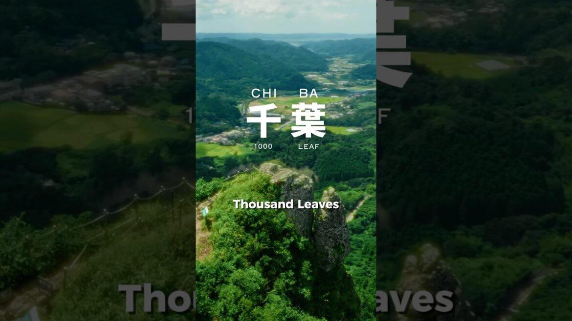 Check out Chiba, Land of 1000 Leaves
