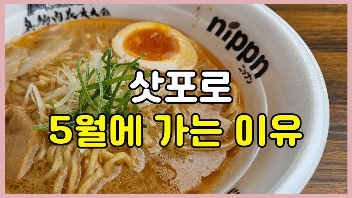 【EN/JP】지금 한창이라는 삿포로 축제 라멘축제 라일락축제