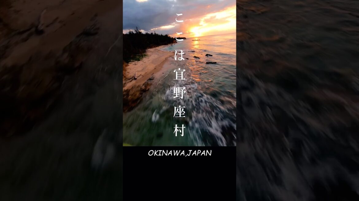 Discover Okinawa in FPV — Japan's Tropical Escape | File.5 #fpv #djifpv #okinawa