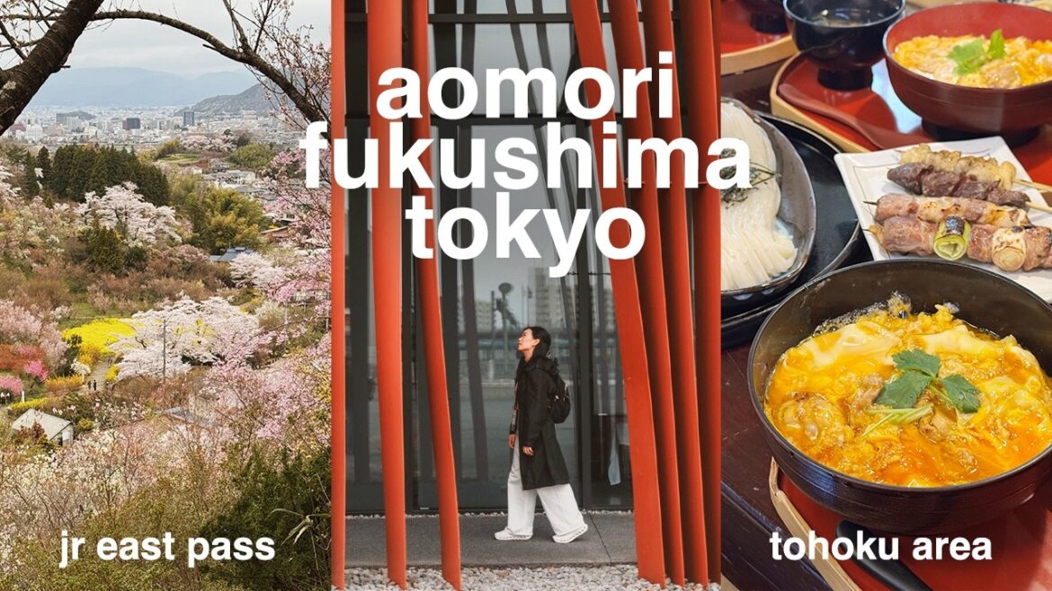 not your usual japan route with the 5 day jr east pass tohoku area itinerary | hanami fukushima not your usual japan route with the 5 day jr east pass tohoku area itinerary | hanami fukushima