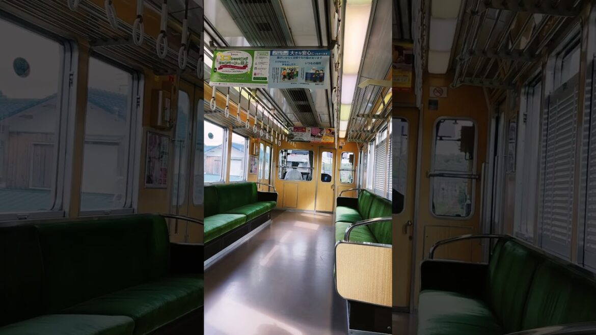 ๐ธ Memories of Spring Days in Kobe: Nagata Station Sakura ๐ธ Memories of Spring Days in Kobe: Nagata Station Sakura