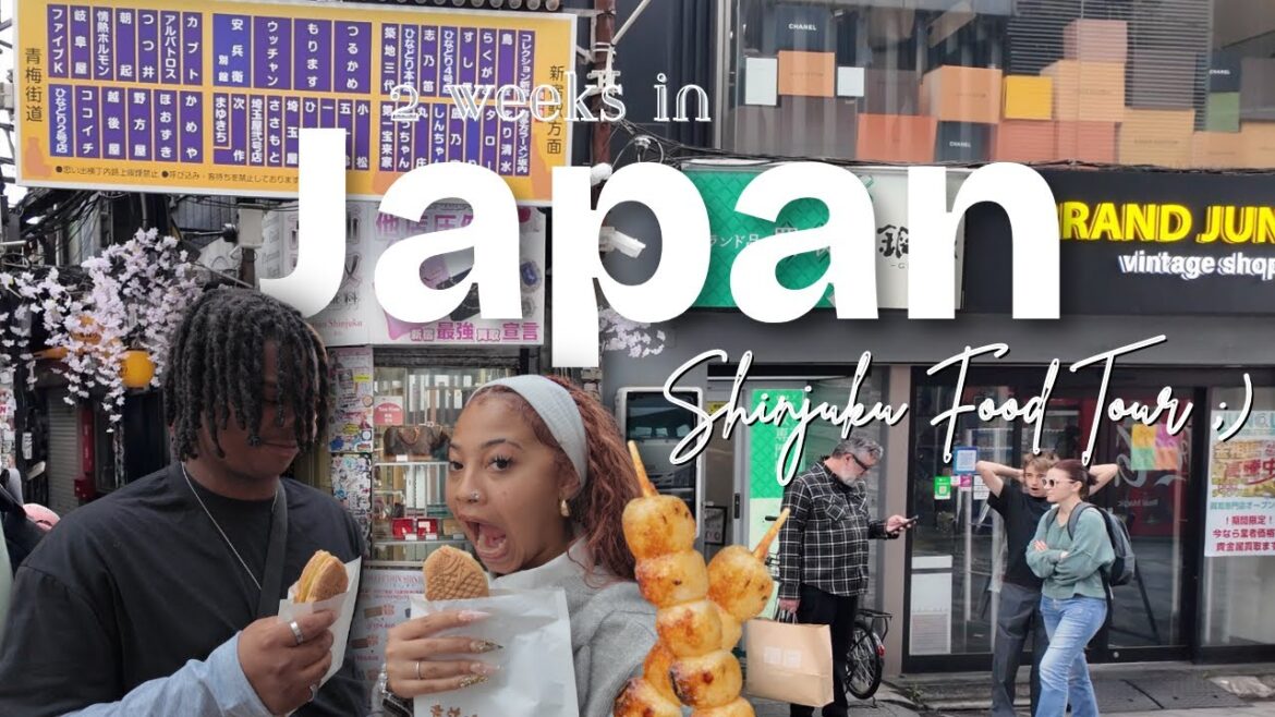 2 WEEKS IN JAPAN | Shinjuku Food Tour π‘π―π΅β¨ 2 WEEKS IN JAPAN | Shinjuku Food Tour π‘π―π΅β¨