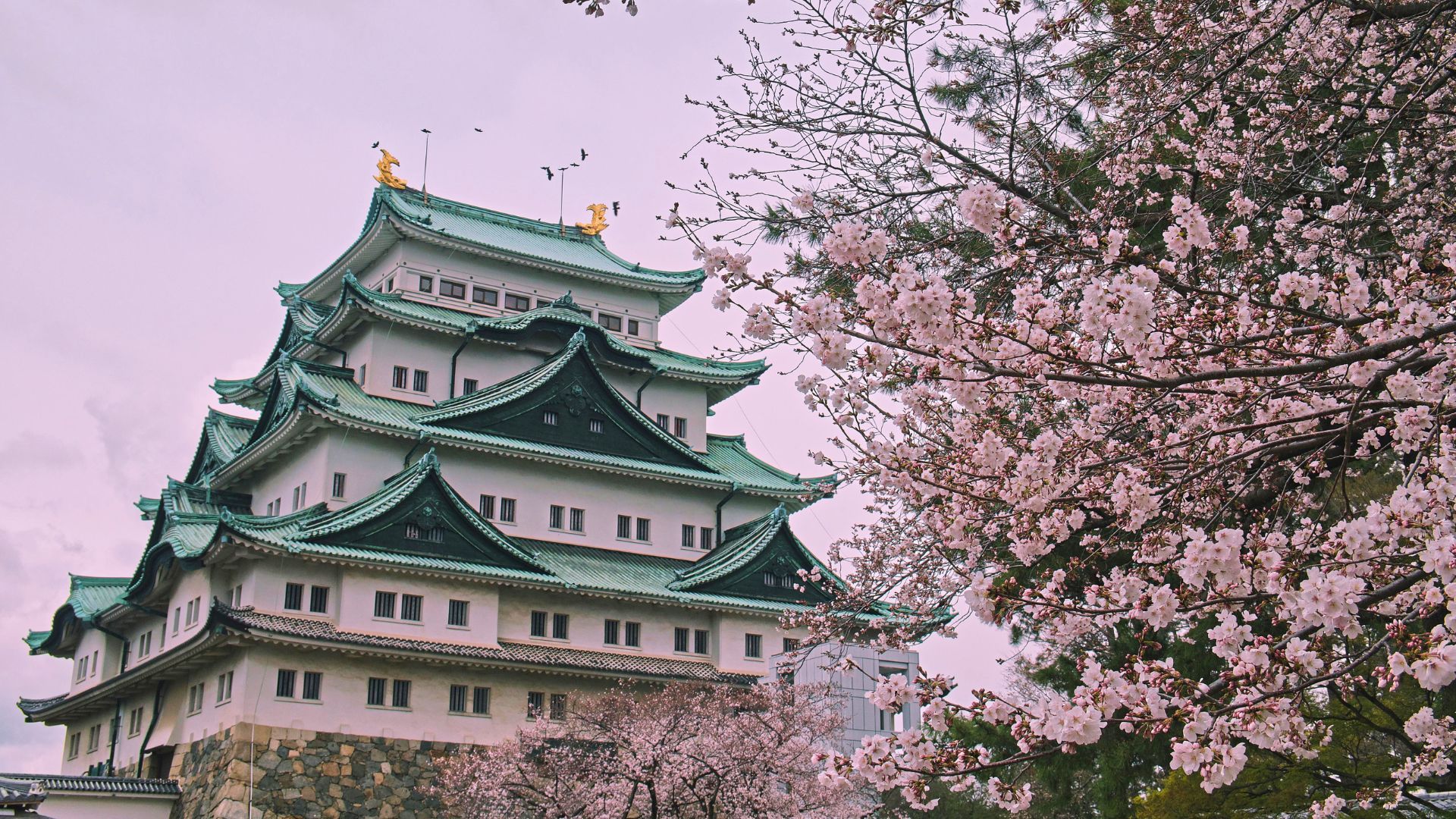 Things to do in Nagoya