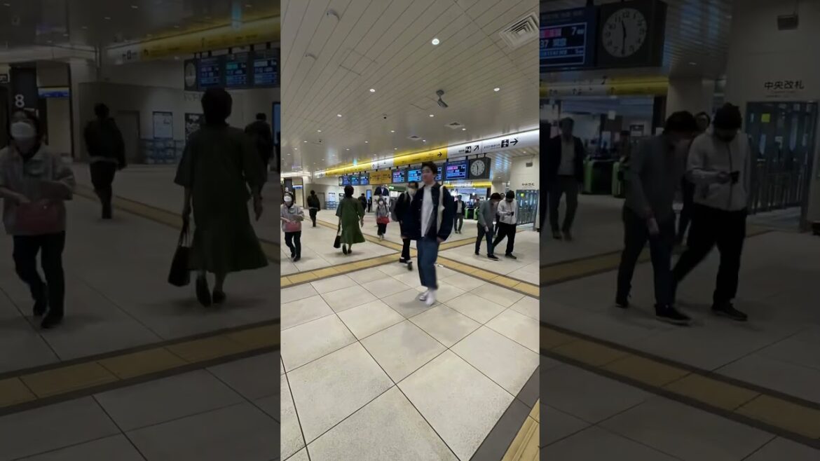 Chiba Station #punjabisong #love #travel #thepublictraveler #asiantravel #nature #worldexplorer