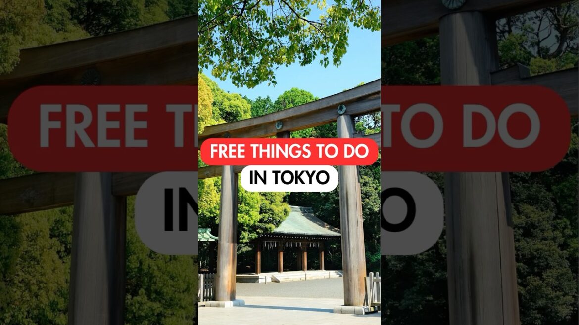 BEST FREE Things to Do in TOKYO🇯🇵 #japan #japantravel #tokyo