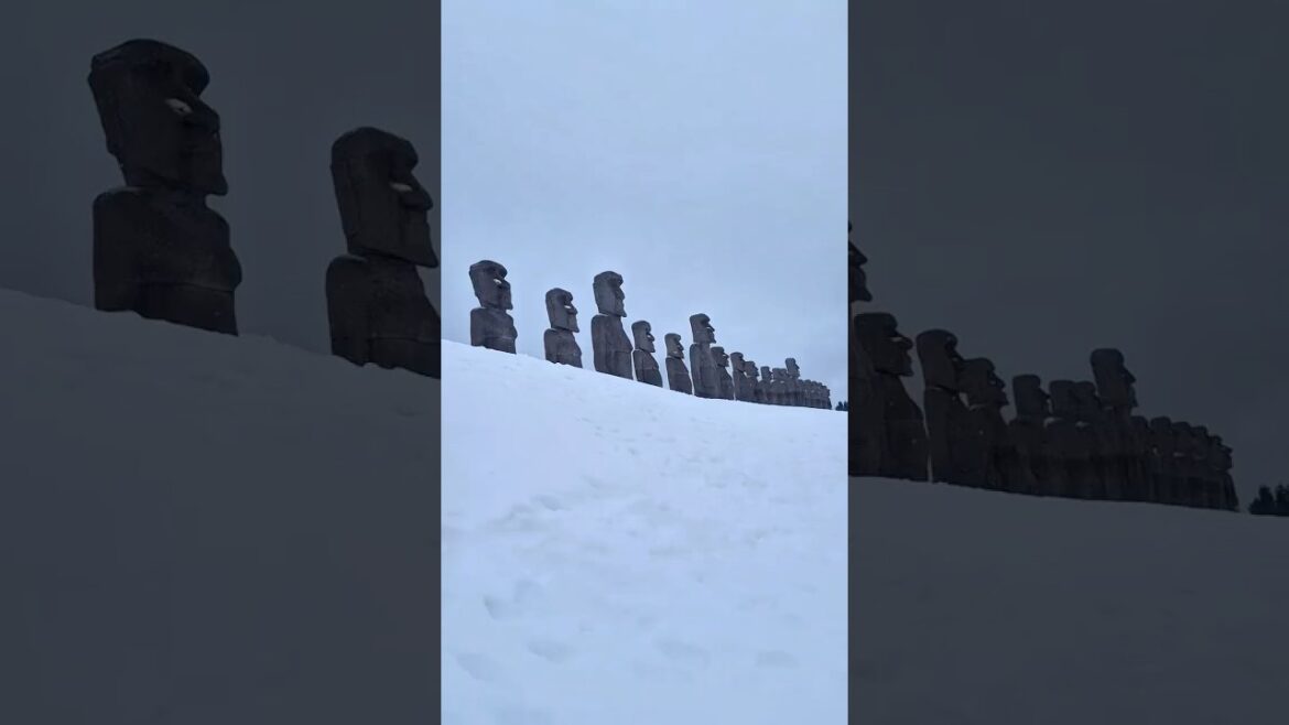 At the Makomanai Takino Cemetery #japan #travel #japantravel #sapporo #hokkaido #winter
