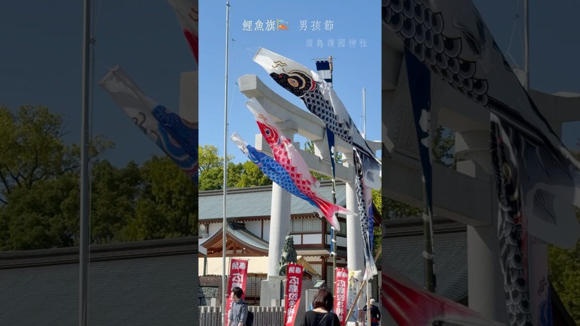 🎏廣島護國神社前的鯉魚旗こいのぼり | 男孩節￼ | 廣島城 #japan #travel #hiroshima