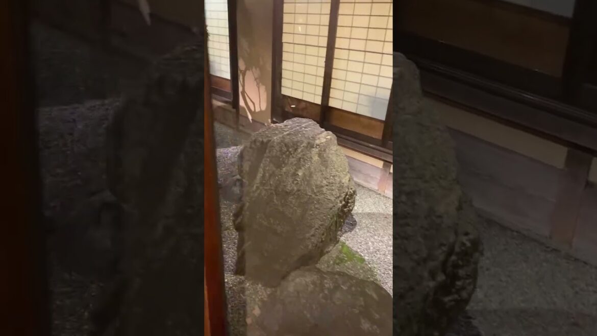 【KYOTO】Must-Try Nice/Traditional Restaurant – Ganko Sushi 【KYOTO】Must-Try Nice/Traditional Restaurant - Ganko Sushi