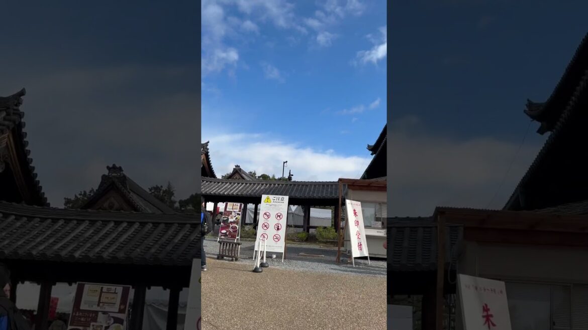 【KYOTO】Must-See Tourist Attraction - Tofukuji Temple