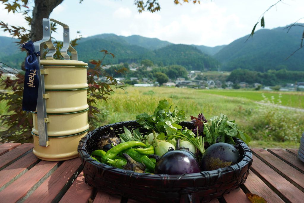 Fresh organic vegetables at Dusit Organic Farm
