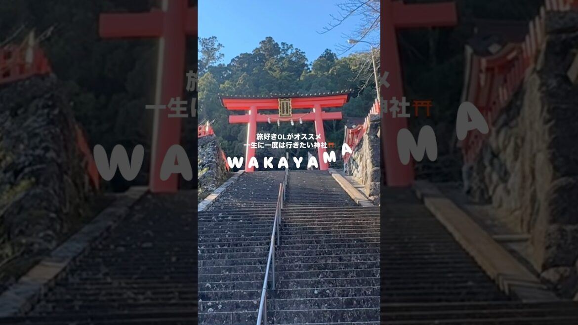 #003 一生に1度は行きたい神社 in Wakayama⛩️
