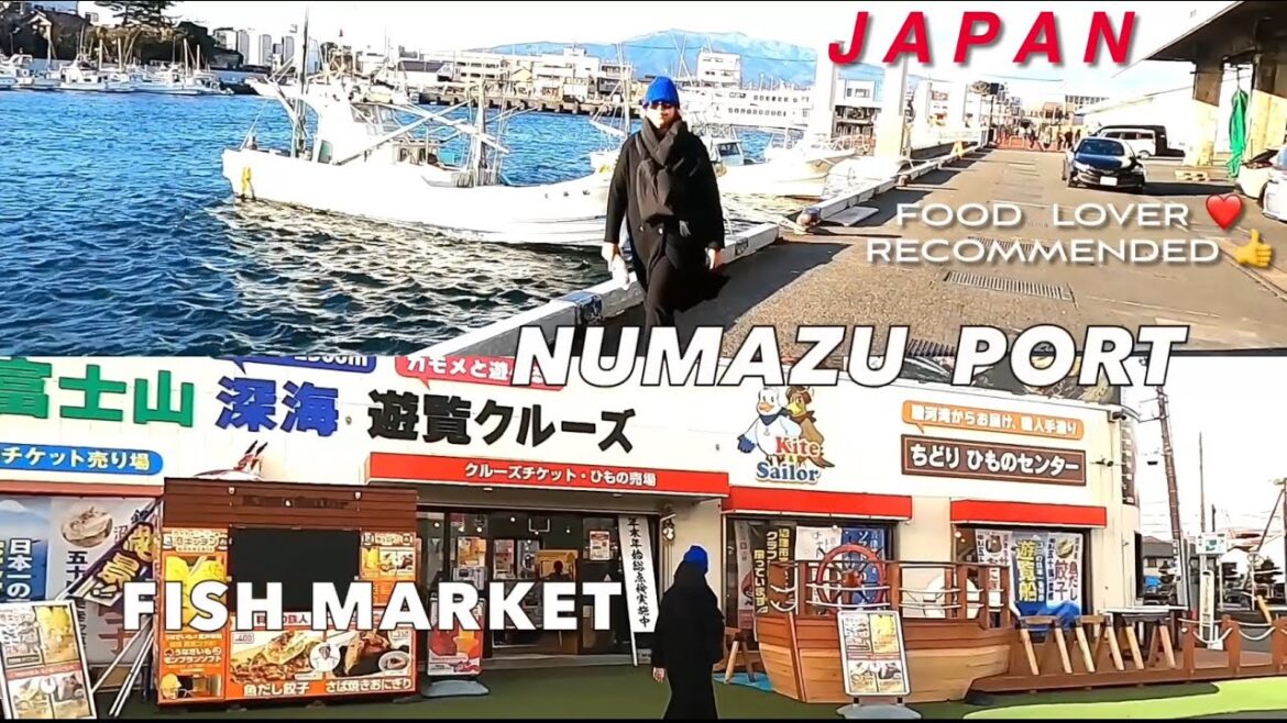 NUMAZU PORT FISH MARKET / EAT / Food trip SeaFoods Shops Walk Travel Guide JAPAN Vlog YR5#10 NUMAZU PORT FISH MARKET / EAT / Food trip SeaFoods Shops Walk Travel Guide JAPAN Vlog YR5#10