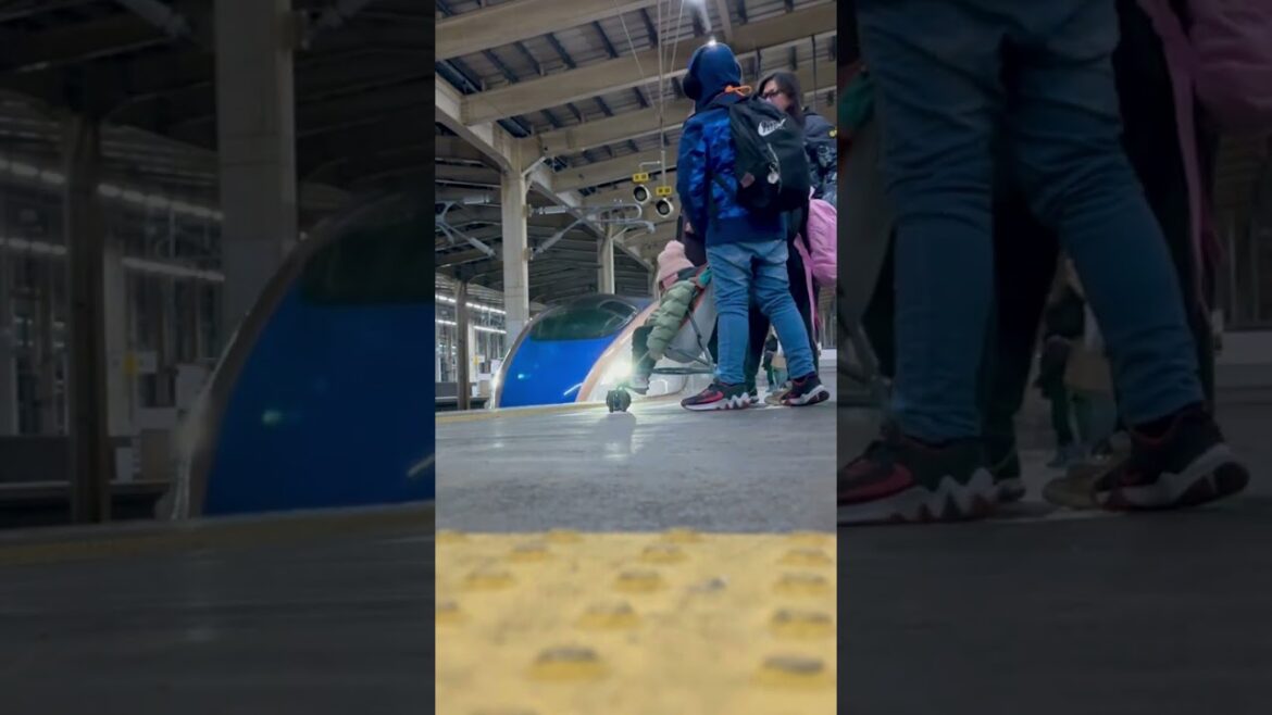 Waiting for the Shinkansen in Freezing Niigata (Echigo-Yuzawa Station)! 🚄 #DelaCruzFamilyAdventures