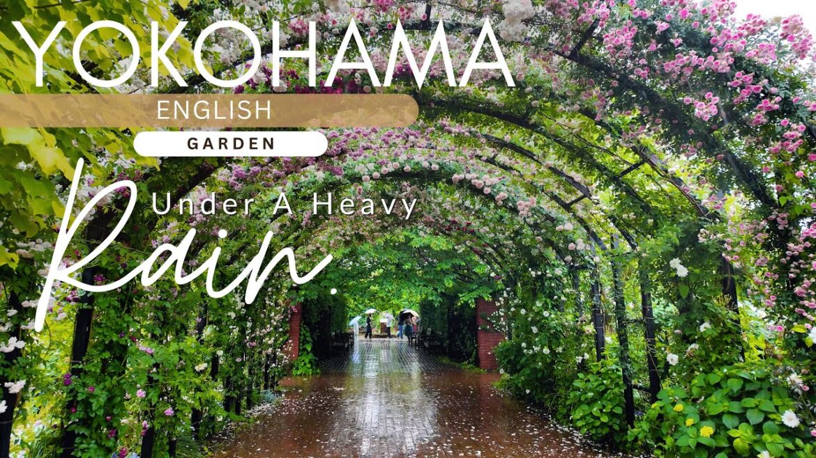 [May17, 2025]  WARNING: Extreme Flower FOMO Ahead—Japan’s Rain-Kissed Garden Walk in 4K