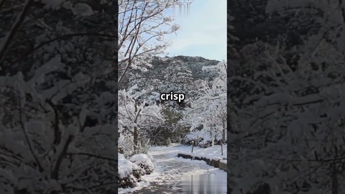 Best Time to Visit Japan in 2025! #ytshorts Best Time to Visit Japan in 2025! #ytshorts