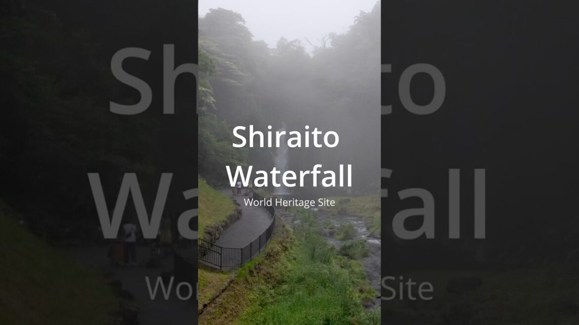 The Impressive World Heritage Shiraito Falls in Shizuoka #japan #waterfall #worldheritage