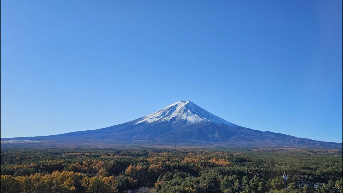 Japan Autumn Trip 2024