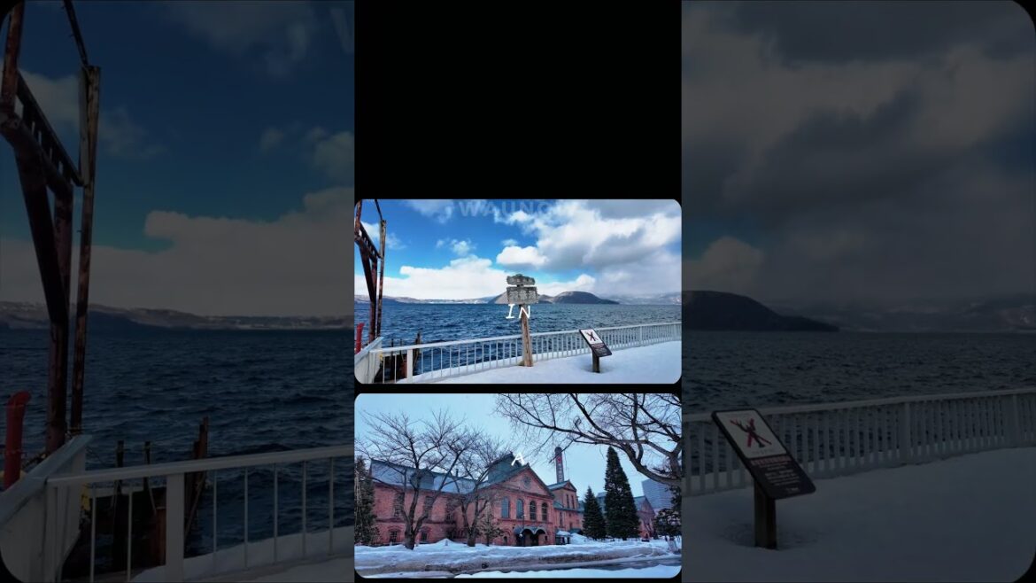 Hokkaido Japan  #shorts #travel  #dji #japan