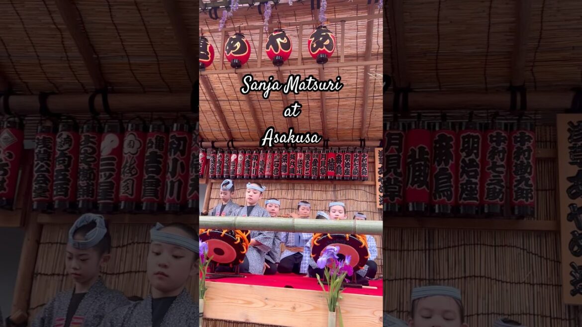 I attended the Sanja Matsuri at Asakusa #japan #travel #festival #matsuri #japantravel #asakusa