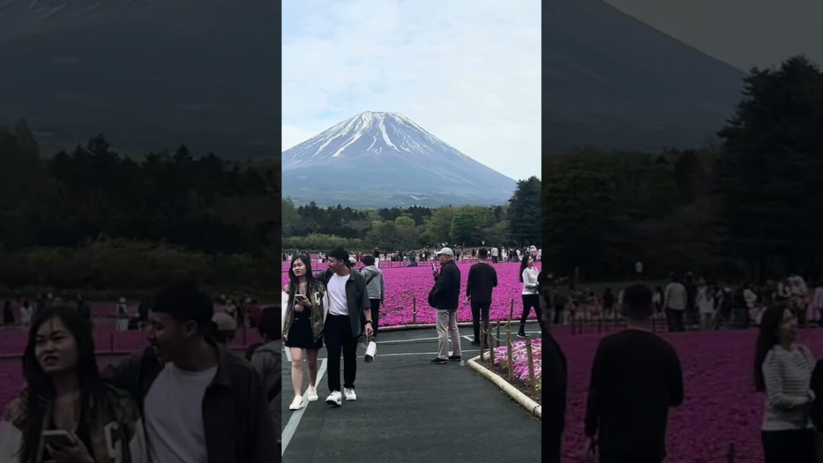 Mt. Fuji in May   #japan #mtfuji #travel