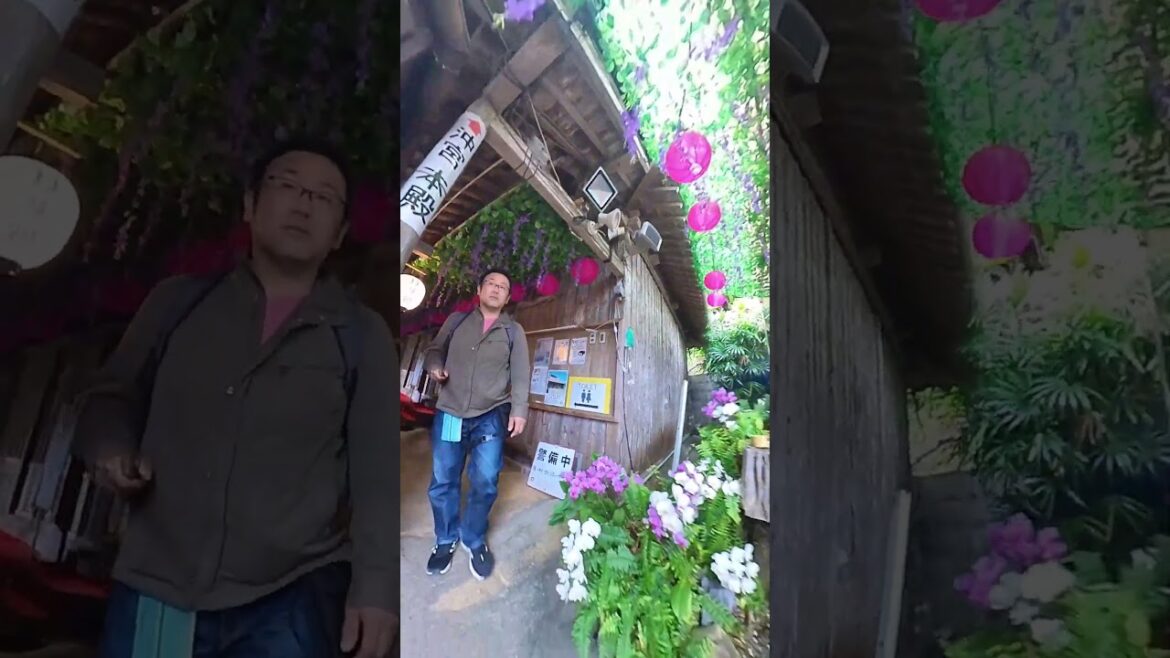 沖宮  #insta360 #insta360x3 #travel #japan #沖縄旅行 #旅行＃沖宮 #観光 #沖縄観光＃神社＃神社仏閣