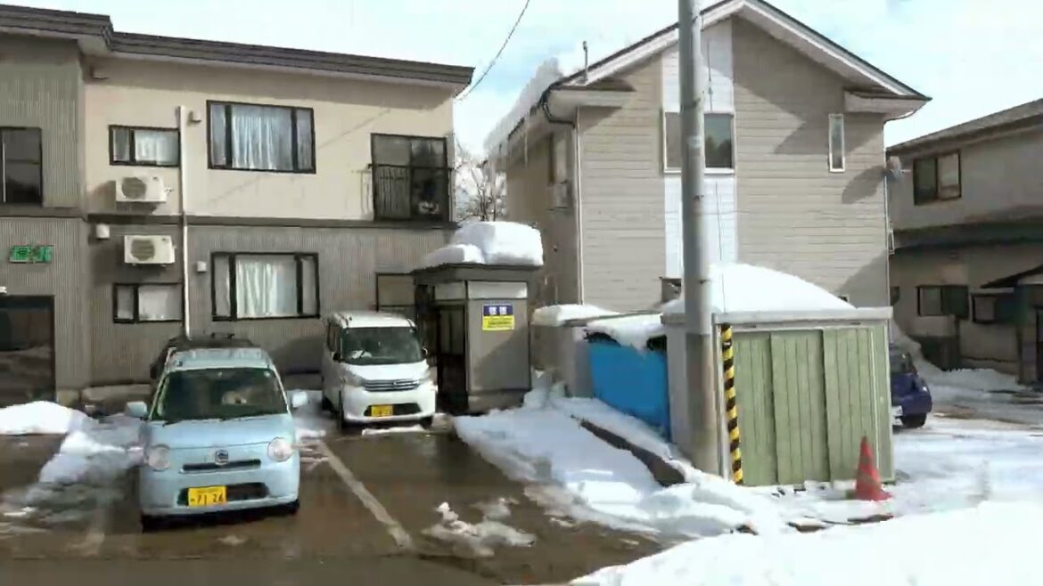 Travel Ride: Akita Shinkansen