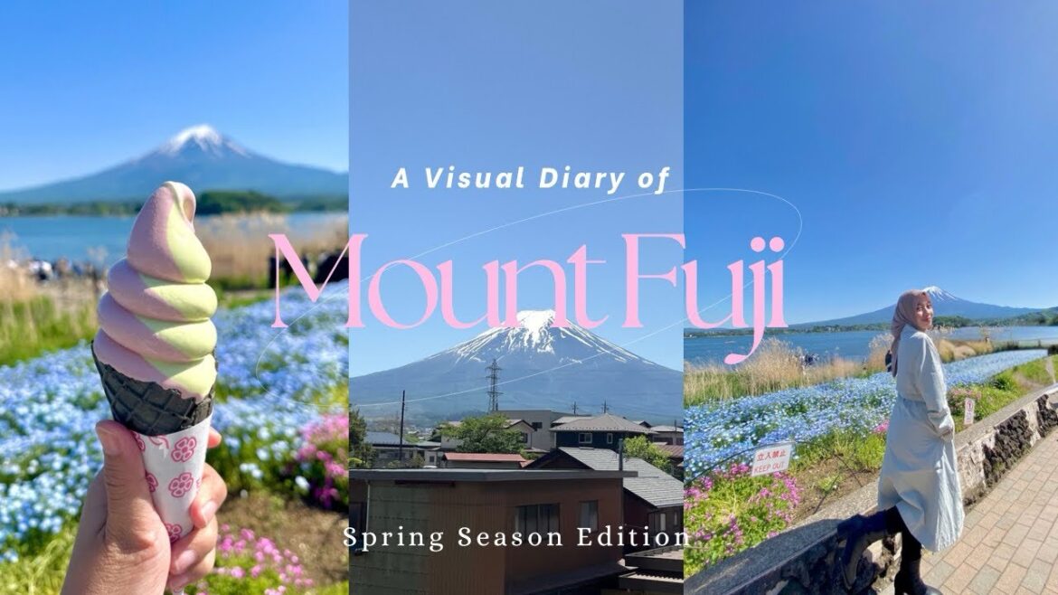3 Must-Visit Places Around Mt. Fuji Kawaguchiko🗻🌸