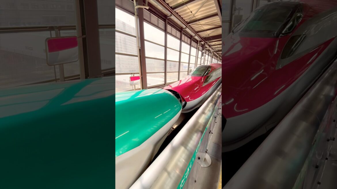 Kiss and Part — A Rare Shinkansen Moment! #train #shortvideo #japan #travel #destination #shorts Kiss and Part — A Rare Shinkansen Moment! #train #shortvideo #japan #travel #destination #shorts