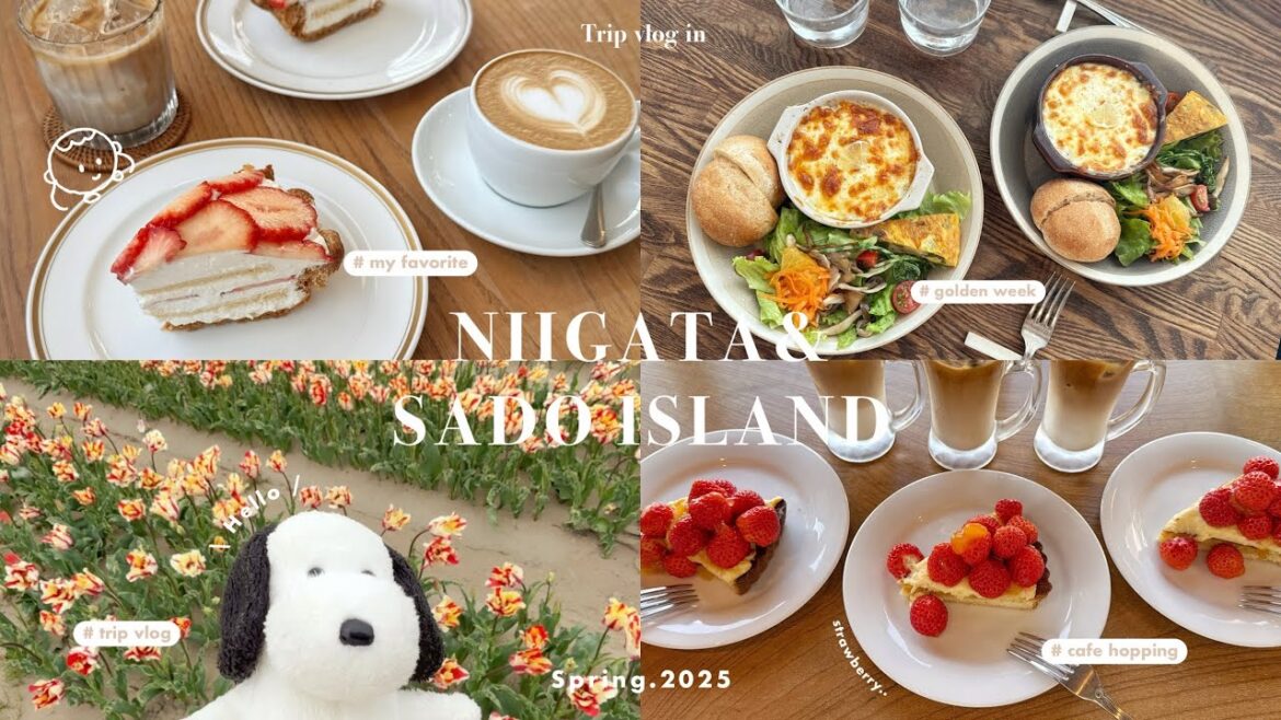 ［ Trip vlog ］SNS疲れを癒す大人の休日🍃好きなことをして自分を労わる | 早起きして畑仕事 | お気に入りのカフェ巡り | ガチャガチャetc..［ 新潟•佐渡旅 ］