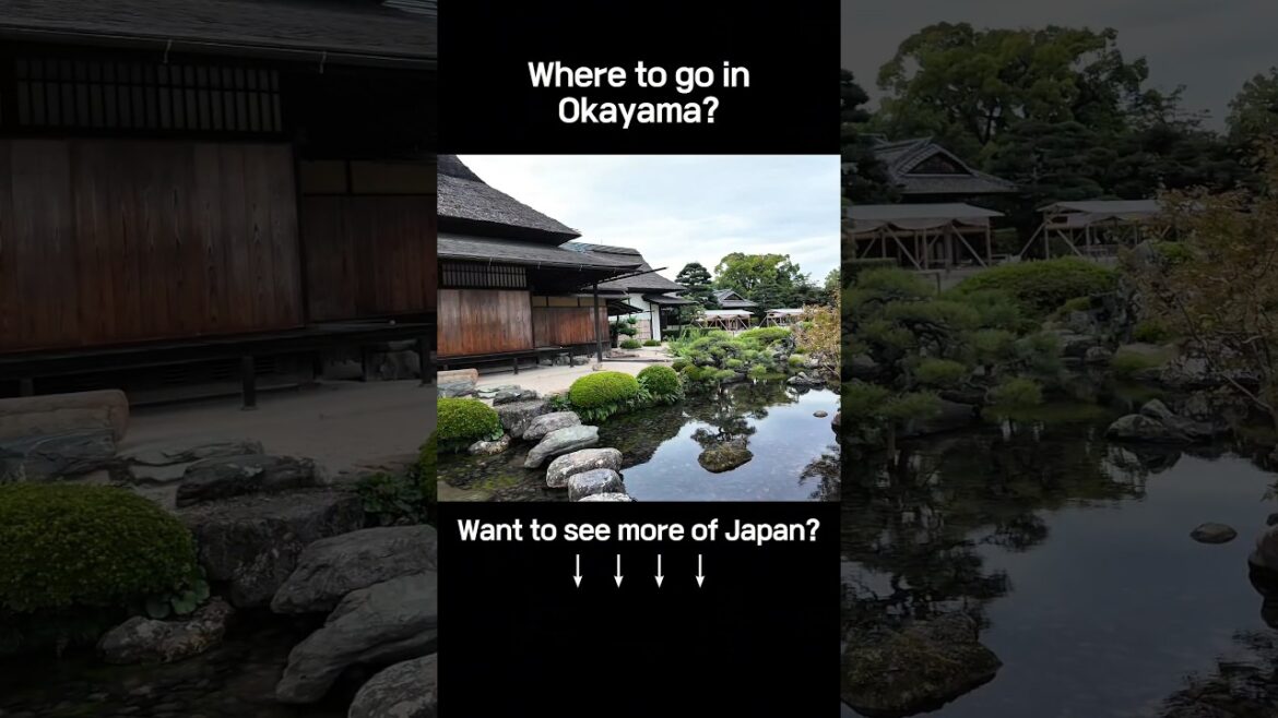 Korakuen Took My Breath Away. One of Japan Finest Gardens #Okayamatravel #japantravel #travelvlog