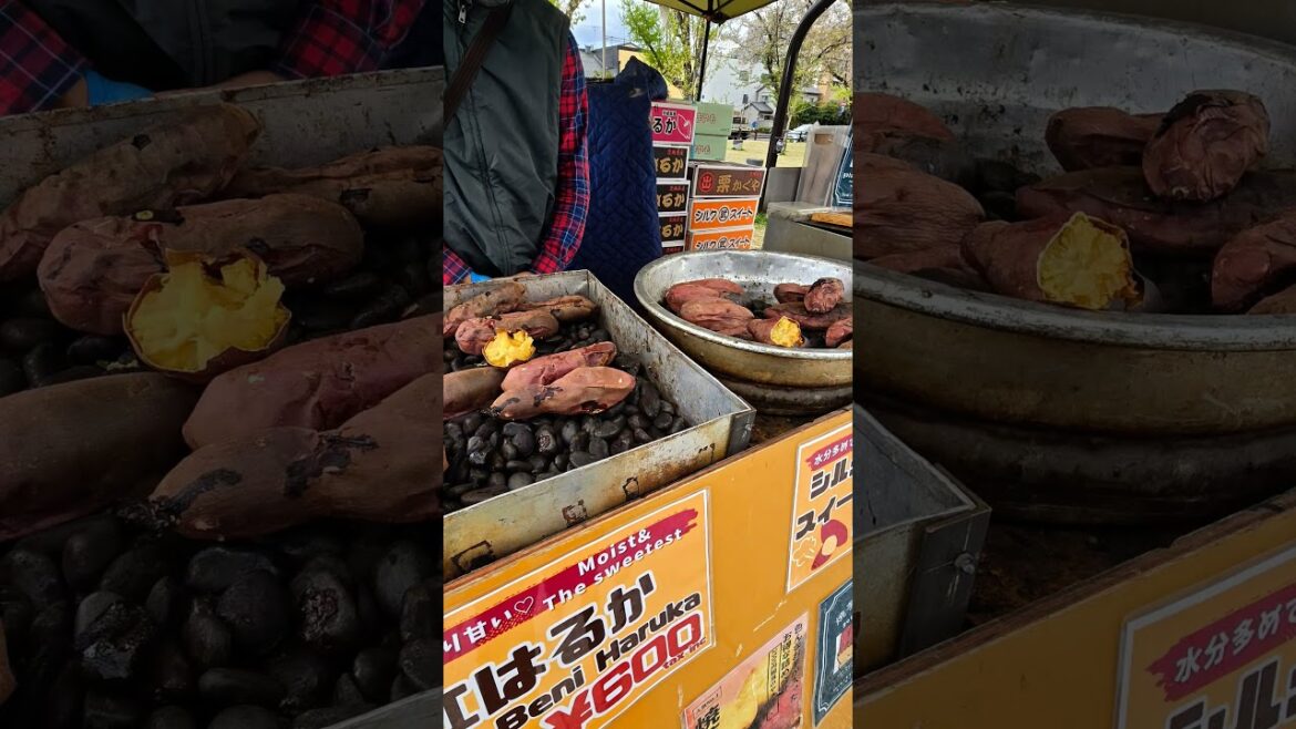 April 14β18, 2025: From breakfast to local vendors. #travel #japan #kyoto April 14β18, 2025: From breakfast to local vendors. #travel #japan #kyoto