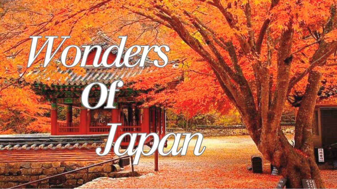 [Local Guide] Japan Spring Escapes - Travel Tips & Perfect Itinerary - Full | Travel Video 4K